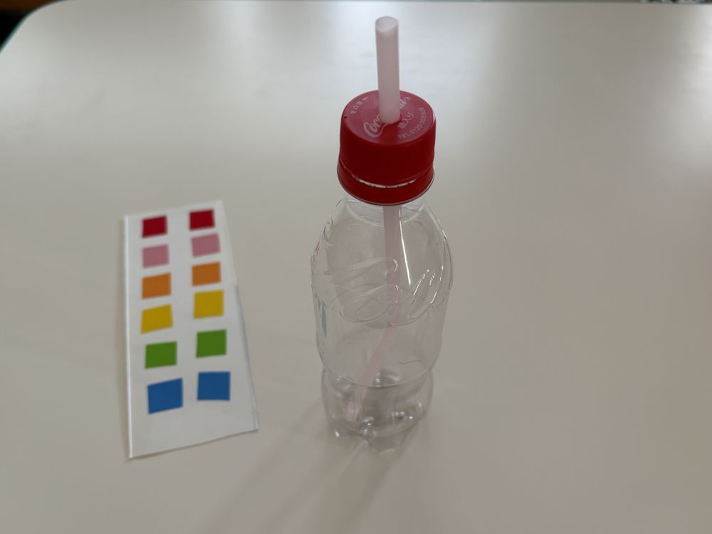 クマ組
　「ペットボトル水鉄砲」

ペットボトルに水を入れて
容器を押してみてね〜
色のシールを貼って
オリジナル水鉄砲を作ってみてね😆