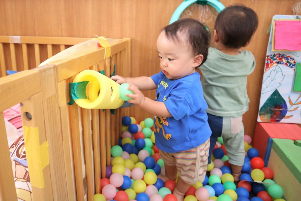 園庭でしっかり外遊びを楽しんだ後は、室内でゆったり体を休める時間♪
そんなゆったりとした遊びの中でも、ウサギ組の子どもたちのワクワクは止まりません！



ボールプールの横に穴を開けたプールスティックを設置！
早速見つけて興味津々のTくん
まずは手を入れてみて確かめる・・・
「うんうん・・・」
次にボールを握って穴に入れると、コロコロコロ～！！
転がるボールの動きに釘付けです！
