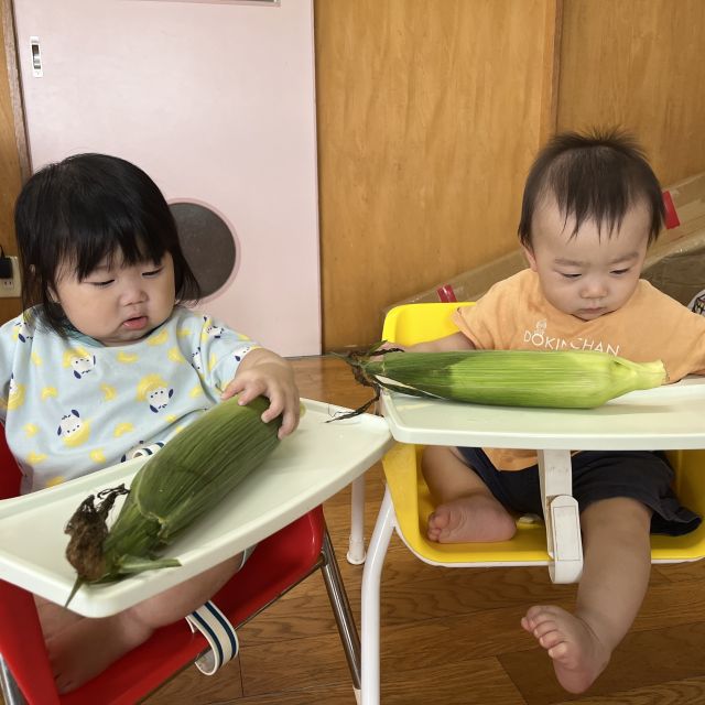 食育の日　～０歳児　ウサギ組～