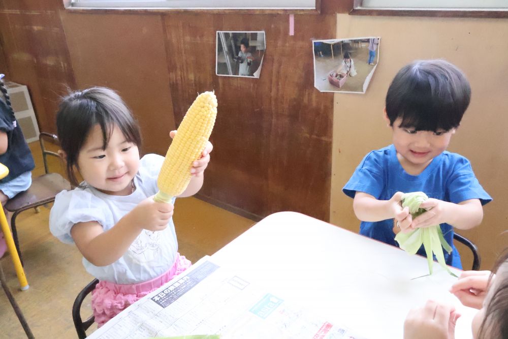 たくさん皮を剥いていくとついに黄色いからだがでてきたよ☆
とうもろこしのからだには実がいっぱい♡
とうもろこしのおひげの数と実はおんなじなんだって✨
いっぱいあったね！給食で食べられるのが楽しみだね！
発見がいっぱいなリス組さんでした😊