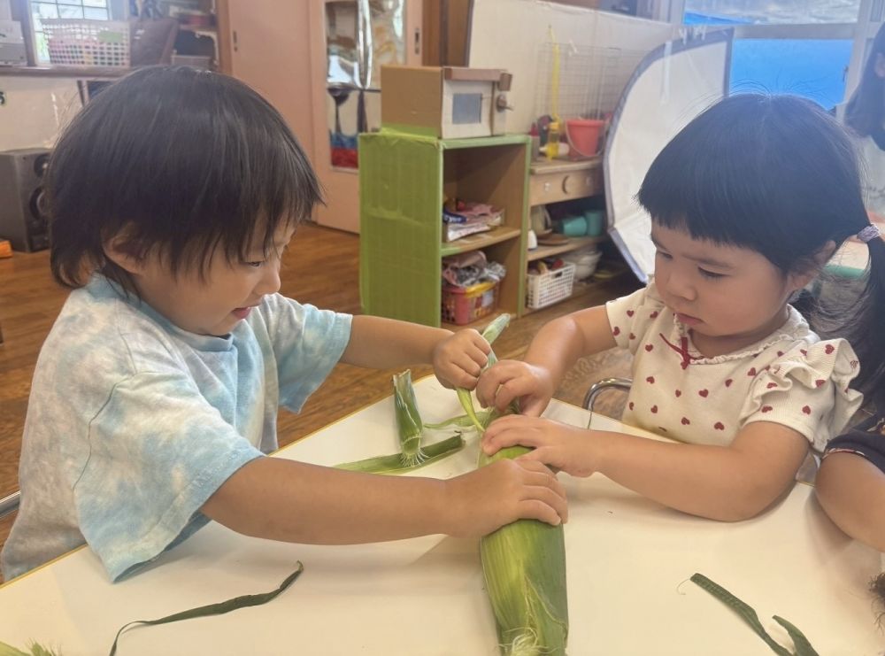 今月の食育は…

『とうもろこし🌽』

皮をむぎむぎ…