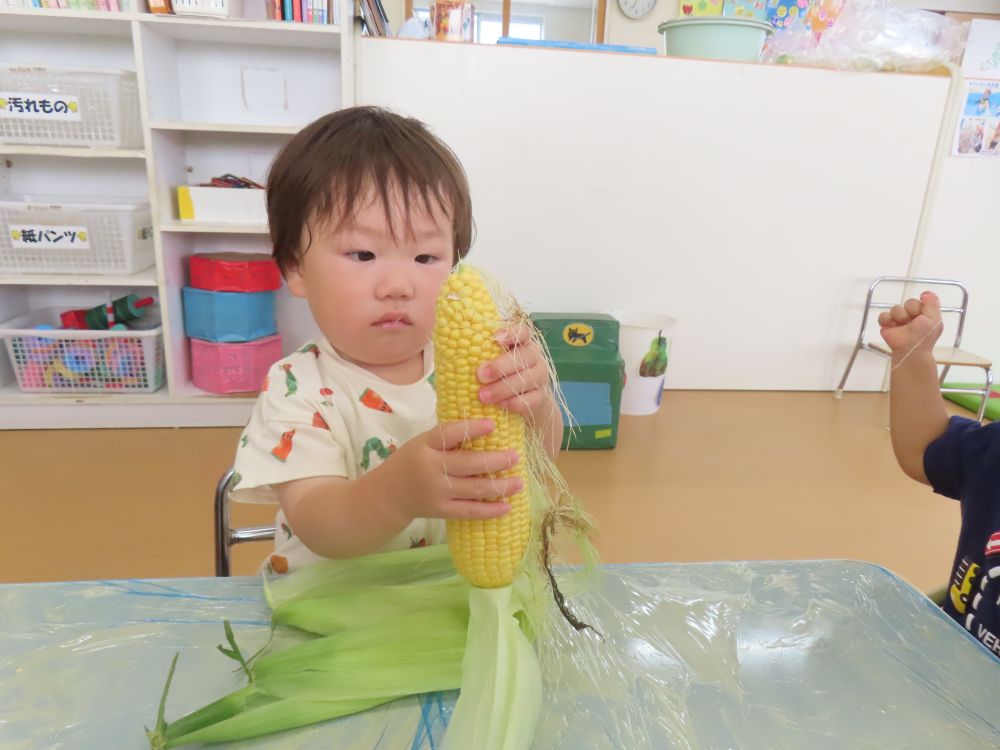 トウモロコシの皮をムキムキ
真剣とワクワクです。