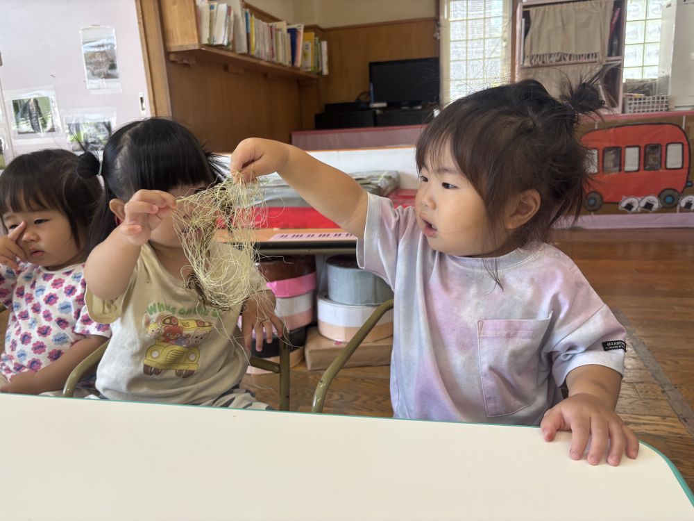 なんだろう･･･？？
トウモロコシのひげを不思議そうに見ていたRくん
友達と2人で引っ張ってみたり、指でつんつん触ったりしながら色々な観察を楽しみました😊

