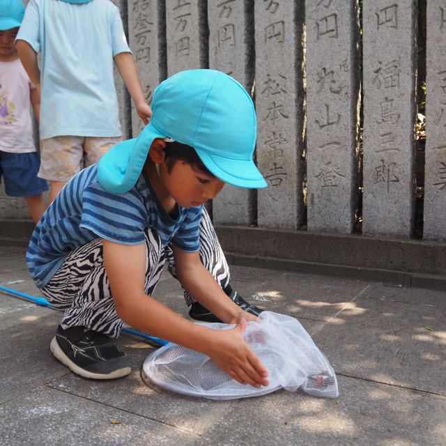 セミ探し👀　＊５歳児＊　