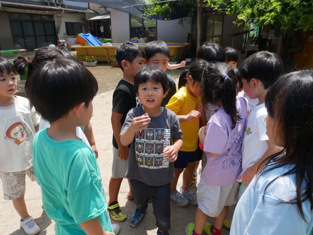 「でもセミって長生きせんよ～」
「じゃあ逃がしてあげる？」
「えーじゃあ明日がいいな～」
「え！！暑いよ…死ぬよ」
と話し合った結果お昼寝の前に
みんなで逃がすことに♡
「よし！！いくよーみんな！！」
元気に飛んでいくセミにバイバーイ😊⭐