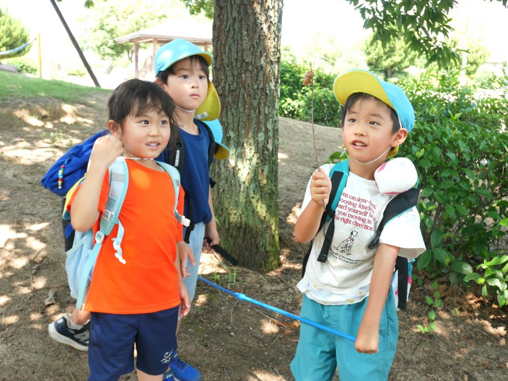『セミの抜け殻もゲット♡』
『セミより抜け殻の方が小さいよね』
『この中にセミが入っていたなんて不思議・・・』
抜け殻もじっくり観察するTくん
