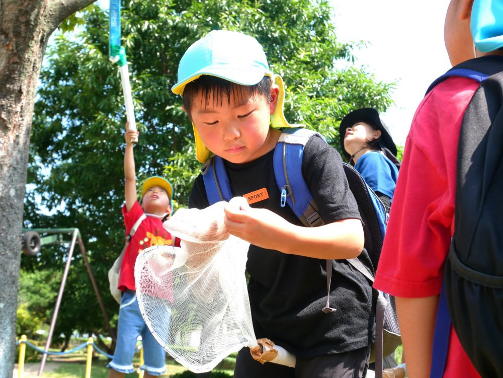 『セミを捕まえた時は慌てない！！そーっと掴む』
菊間先生から教えてもらった通り冷静に対応するKくん
『ゆめはうすの子はセミとりが上手だね～感心したよ♡』
菊間先生に褒めてもらえて嬉しそうなキリン組さんでした
手作り網も中々良い仕事をしています