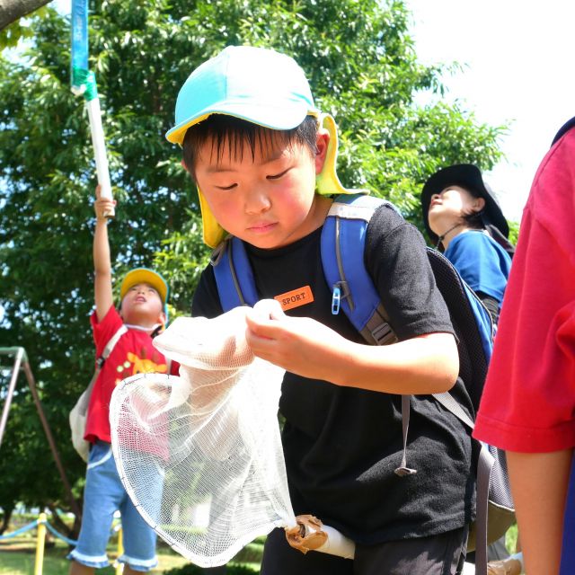 ＊　５歳児　セミとり②　＊