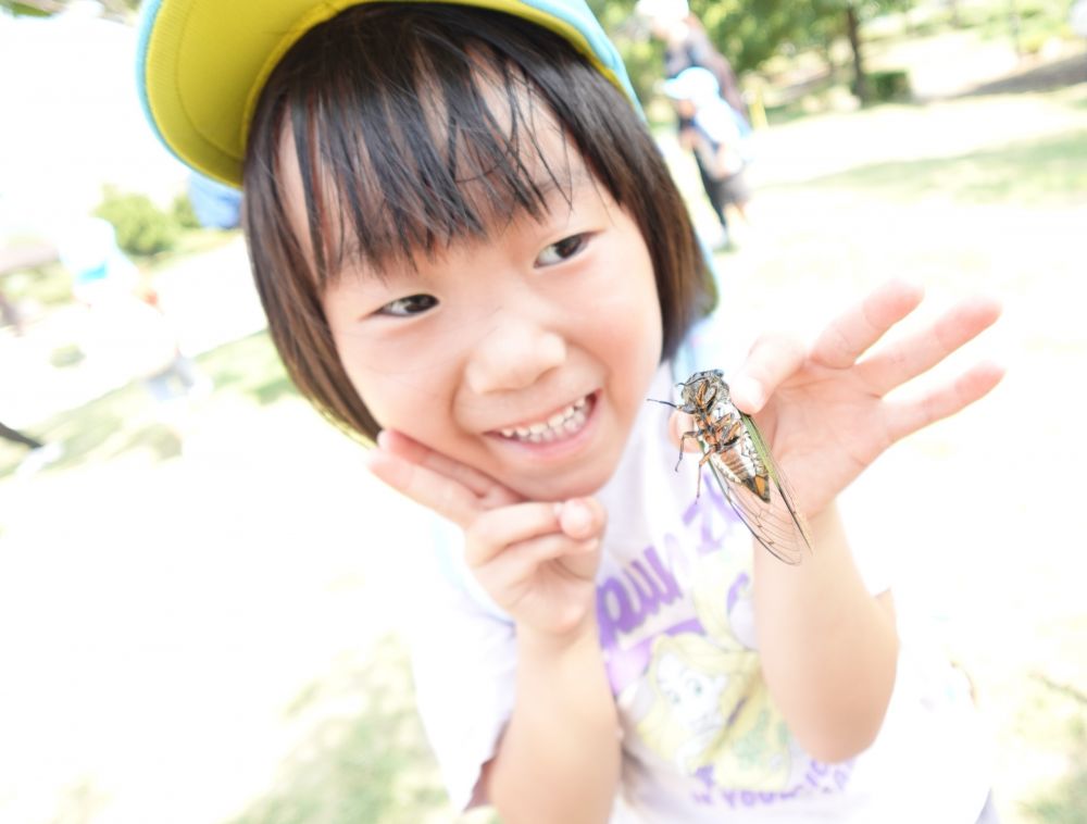 片手でセミを掴んだMちゃん
『このセミはミンミンミン・・・って泣いてる？』
『ジリジリって泣いてる？』
セミの種類によって鳴き声が違うことを菊間先生から教わりました
『このセミは何ゼミかな？』