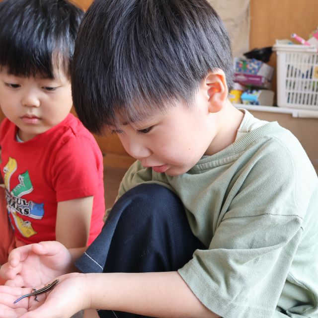 とかげのトカゲー　＊４歳児＊