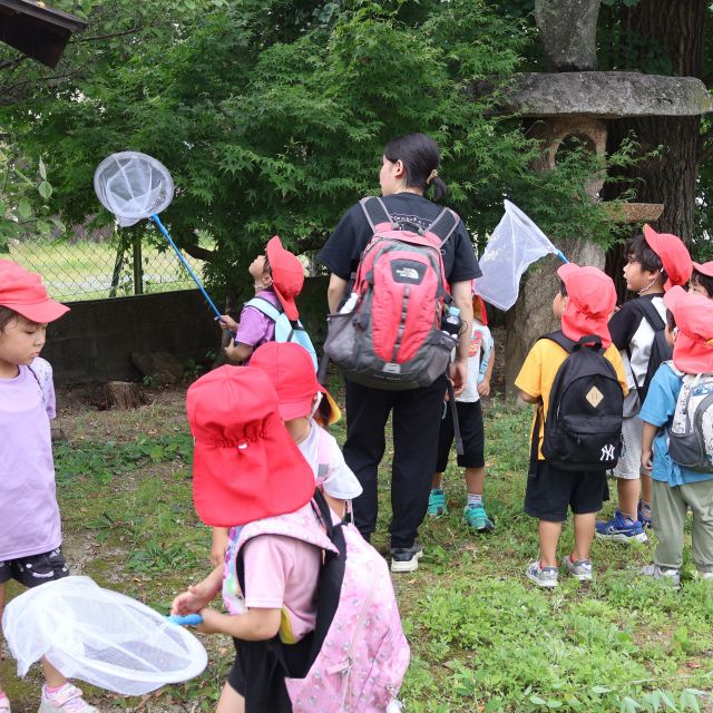 セミ、み～つけた！①　＊４歳児＊