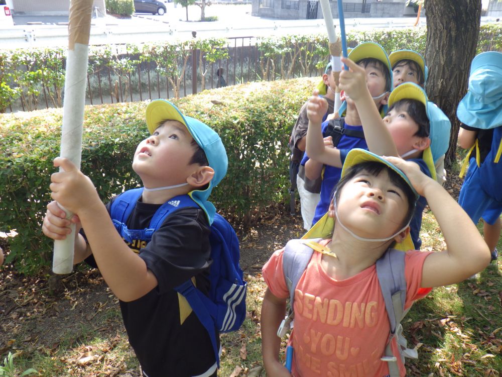 ｢セミどこ？いないよ･･･｣
｢あそこにいるじゃん！｣
｢あっ！いた！｣
｢あっちにセミの抜け殻もある！｣
少しずつセミを見つけることが上手になっていくキリン組！