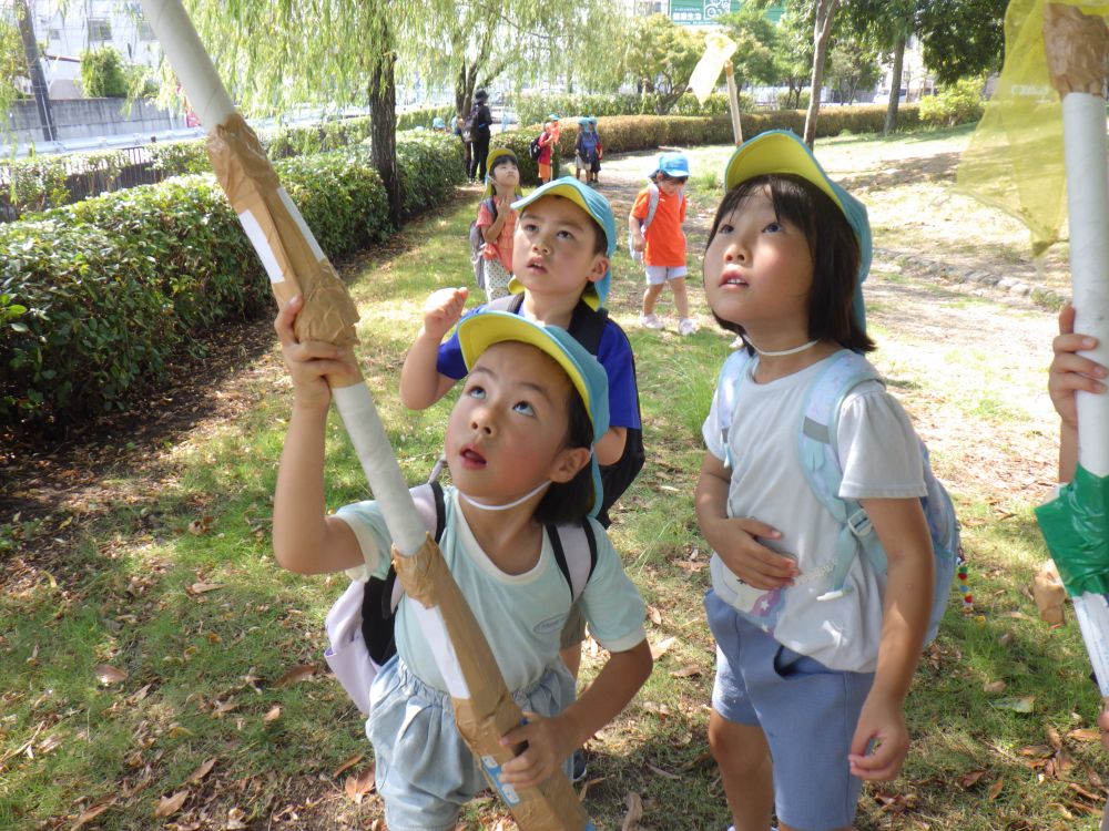 高いところにセミが･･･
｢セミがいるけどたわない･･･｣
｢一緒に持と！｣
協力してセミとりをするMちゃんとUちゃん♡
｢でも無理かも･･･｣
｢Uちゃんがやってみる！｣
｢ありがとう♡｣
無事ゲットできました！

休憩をしながらたくさんのセミとセミの抜け殻を
とったキリン組！
｢前よりも多く捕まえたー｣
｢いえーい！｣

夏ならではの蝉とり
思い切り楽しみました♡
