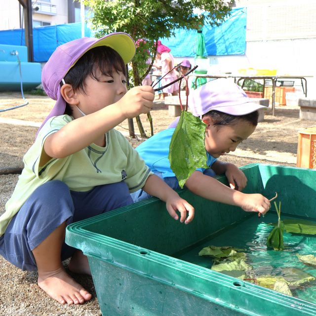 ＊　３歳児　葉っぱで魚すくい！　＊
