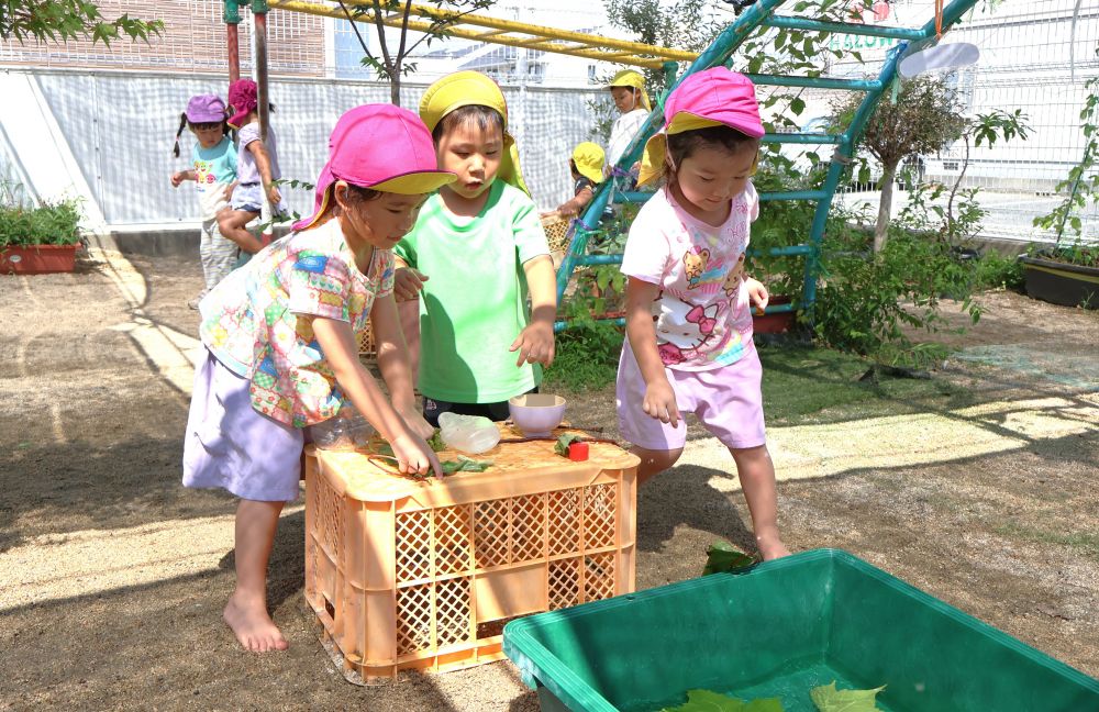 　「もういなくなっちゃた！」
　「もう一回しよっか！」
水槽の中の魚がいなくなると
もう一回水槽の中へ！
茎の重さで紙飛行機のように
飛んで入っていく様子に興味津々☆

何度も楽しめるところが自然遊びの
良いところ♡
