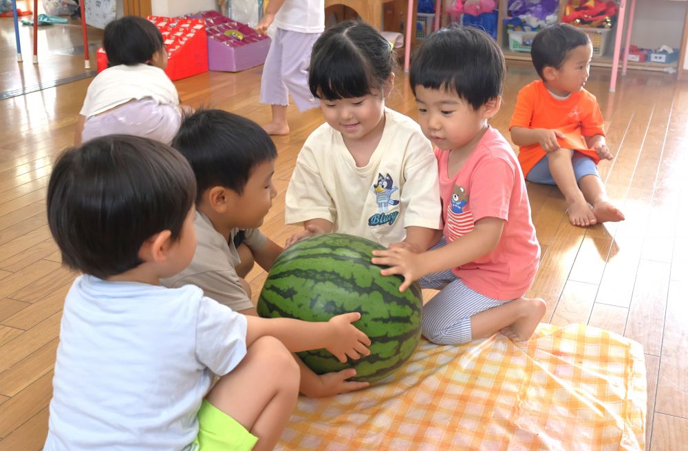 夏が旬の食べ物であるスイカ！
実際に触れてみるなかで興味が広がる♪



　「つるつる～！」
　「叩いたらぽんぽんって鳴るよ！」
触ったり、匂ったり、叩いたり…！
友達と一緒に気付いた事を伝える！
