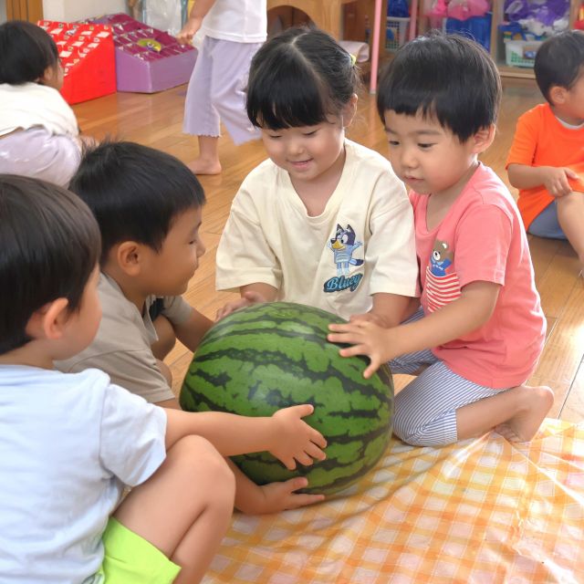 ＊　３歳児　触って！叩いて！スイカ満喫♡　＊