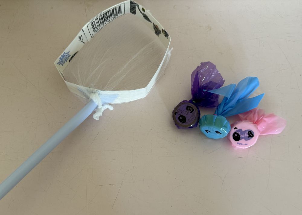 1歳児
       『魚すくい』

網をつかって何匹、魚をすくえるかな？
お風呂やプールで遊んでみてね🐟