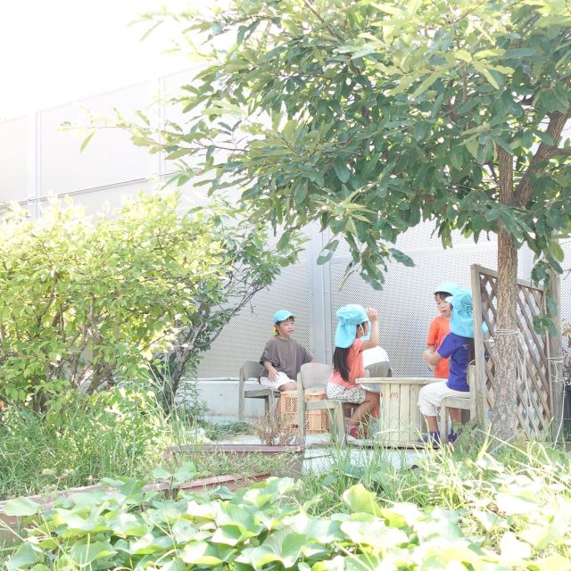 ＊　５歳児　園庭のすみっこ　＊