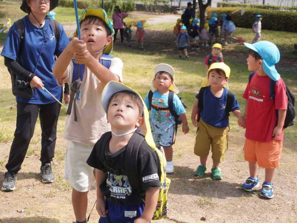 セミに興味津々なクマ組さん
キリン組さんとセミ取りに行けることに♪
”セミに近づく時は静かにそーっと”
キリン組さんからクマ組さんへ・・・
関わりを通して知識や学びが広がります♡



「あそこにおる！！」
「どこ・・・？」
木の高い所で見つけるのも一苦労なクマ組さん♡
次々に見つけてサッと上手に捕まえていくキリン組さん♡