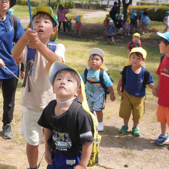 ＊　２・５歳児　セミとり　＊