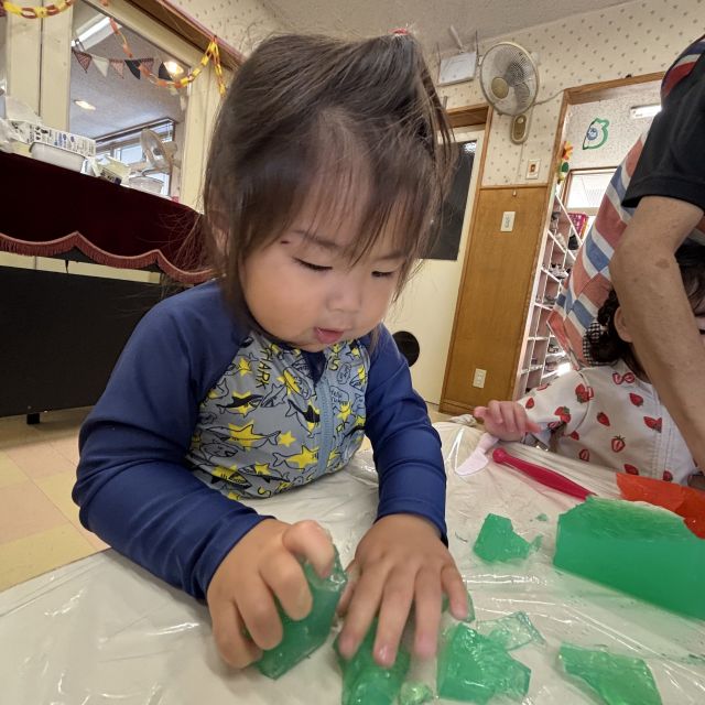 寒天で遊んだよ✨　  ～1歳児　 ヒヨコ組～