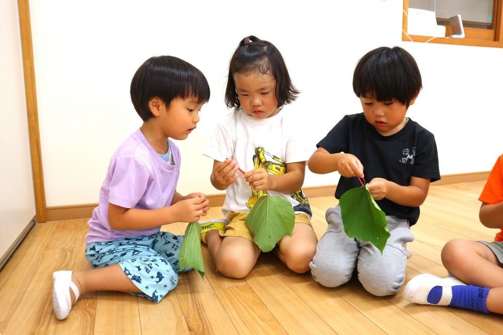 子ども達が生み出す遊びや発想に目を向け、保育教諭も共に楽しむ中で
保育教諭も子ども達から日々たくさんの“面白い”や“学び”を得ています



先日の自然研修で教えて頂いた
『くくって、投げて飛ばす』
『枝と茎をくくった葉っぱで魚釣り』など遊びを子ども達と一緒に・・♡

まずは、“葉っぱをだしてみてどんな遊びをするかな・・？”
子ども達の好きな遊び方で遊んでみる♪

ちょうど海の生き物が好きな友達が集まっていて・・・
「これ魚みたいじゃない？」
「これはマンボウみたい！」
「魚釣りって竿がいるんよ」
「この前のお休み、パパと行ったんよね」
好きなことを通して友達と会話が弾む♡

