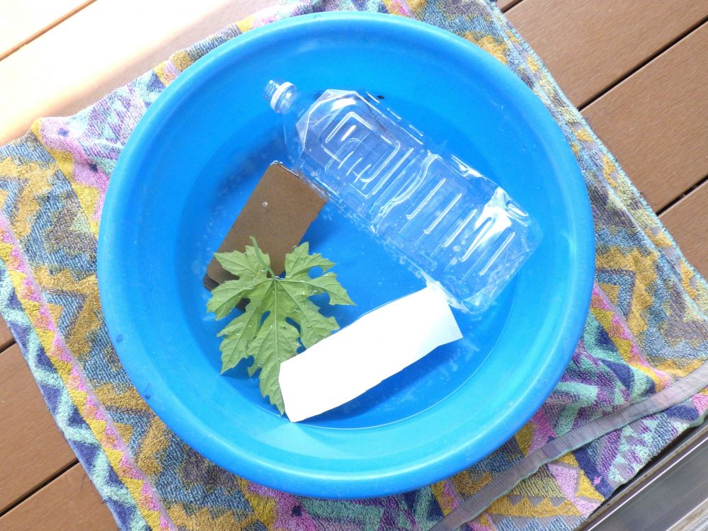 ＊何の素材で作る？

「葉っぱはどう？」
「段ボールを繋げたら大きくなるよ」
「ペットボトルを魚取りにしよう」
「牛乳パックは前浮いとったよ」
自分の考えや経験を伝え合う姿がありました

