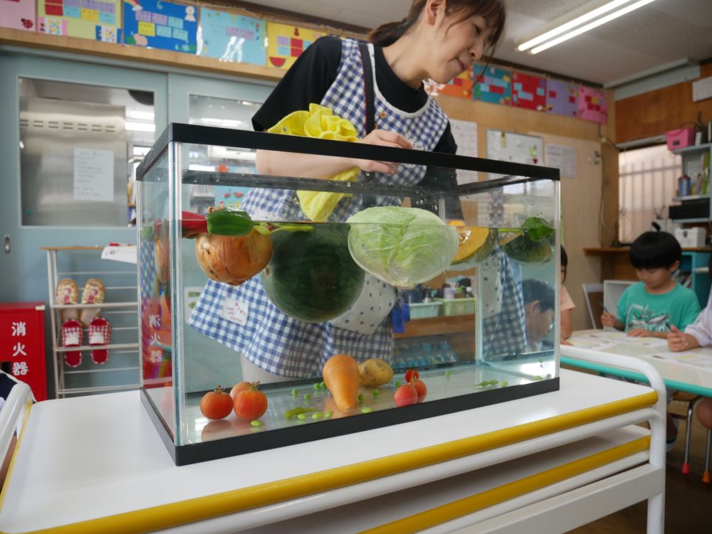 今日は夏野菜実験をしました🍅
「重いよね！！」「浮くかな？」「なんで？」
ワクワクしながら好奇心を持って
食育活動に取り組みました

昨日みんなが選んだ水槽の水に浮かばせたい
夏野菜を給食先生が持ってきてくれました
始まる前から興味津々のキリン組さん
