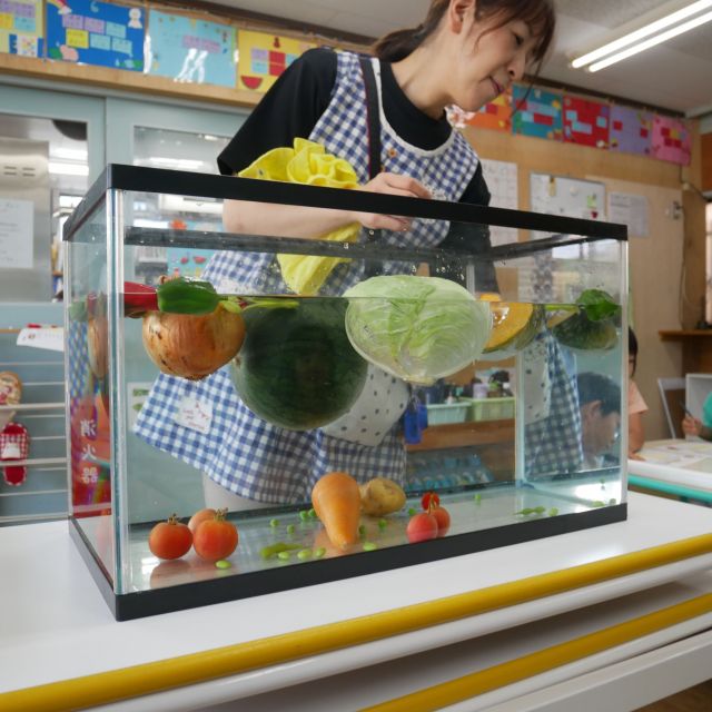 夏野菜実験①　＊５歳児＊