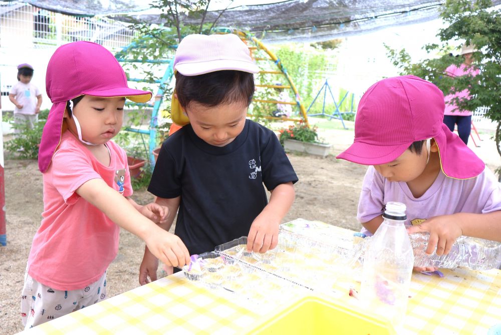 　「アサガオも入れてみたい！」
　「どうなるんかね～」
園庭で見つけた自然物を入れてみる♡
どんな氷ができるか楽しみだね♪