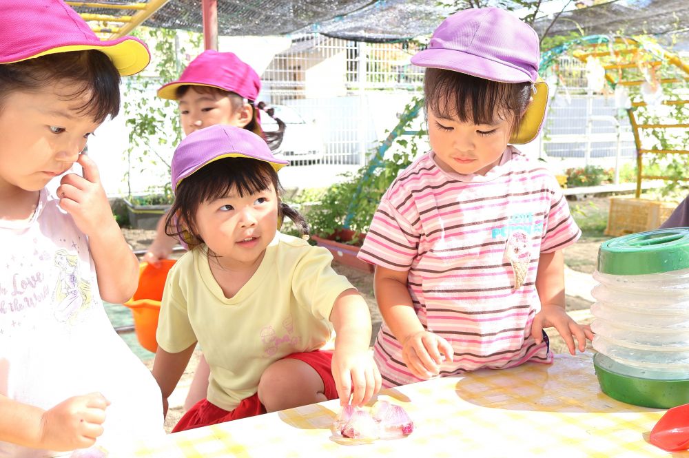 　「お花が出てきょーるよ！」
　「ほんとじゃ！」
少しずつ氷が溶けてくると、中から
アサガオが浮き出てくることを発見☆