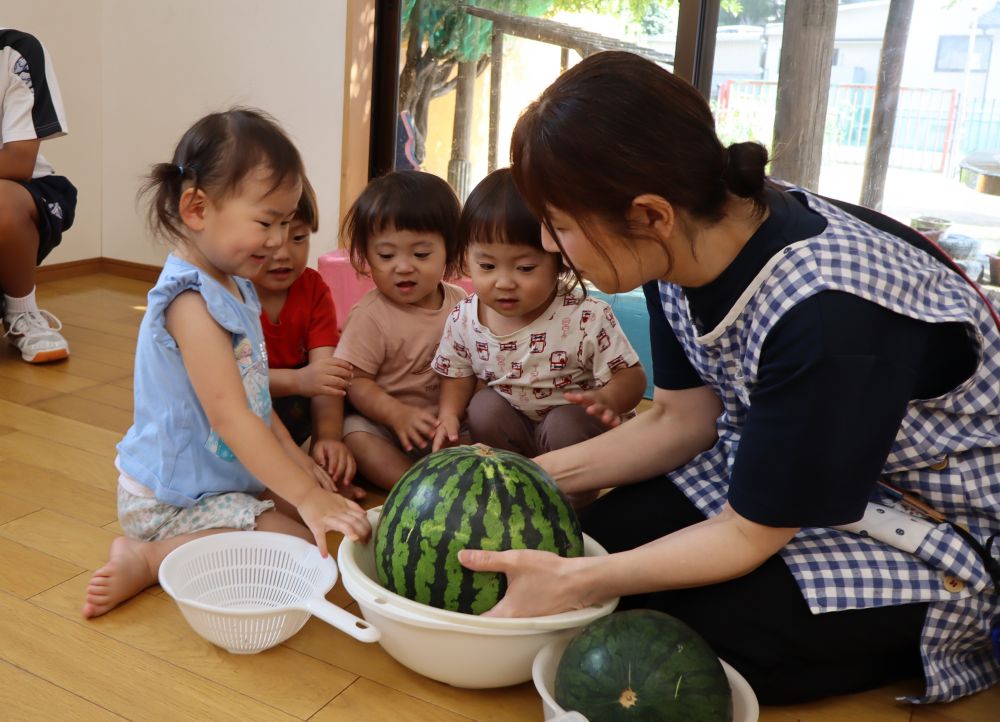 食育の日🍉
みんなですいかわりをしました！

まずは小さなすいかと大きなすいかを
触ってみよう😆

「おおーきーいね！」
「おもたいね！」

すいかを触り、
思いを言葉で伝え合います