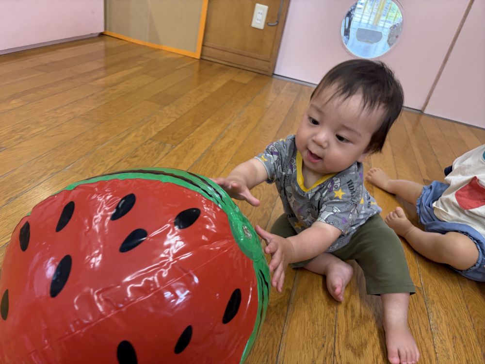 スイカのボールで遊んだよ！

ころころ～と逃げるスイカ
捕まえようと追いかけるKくん。
