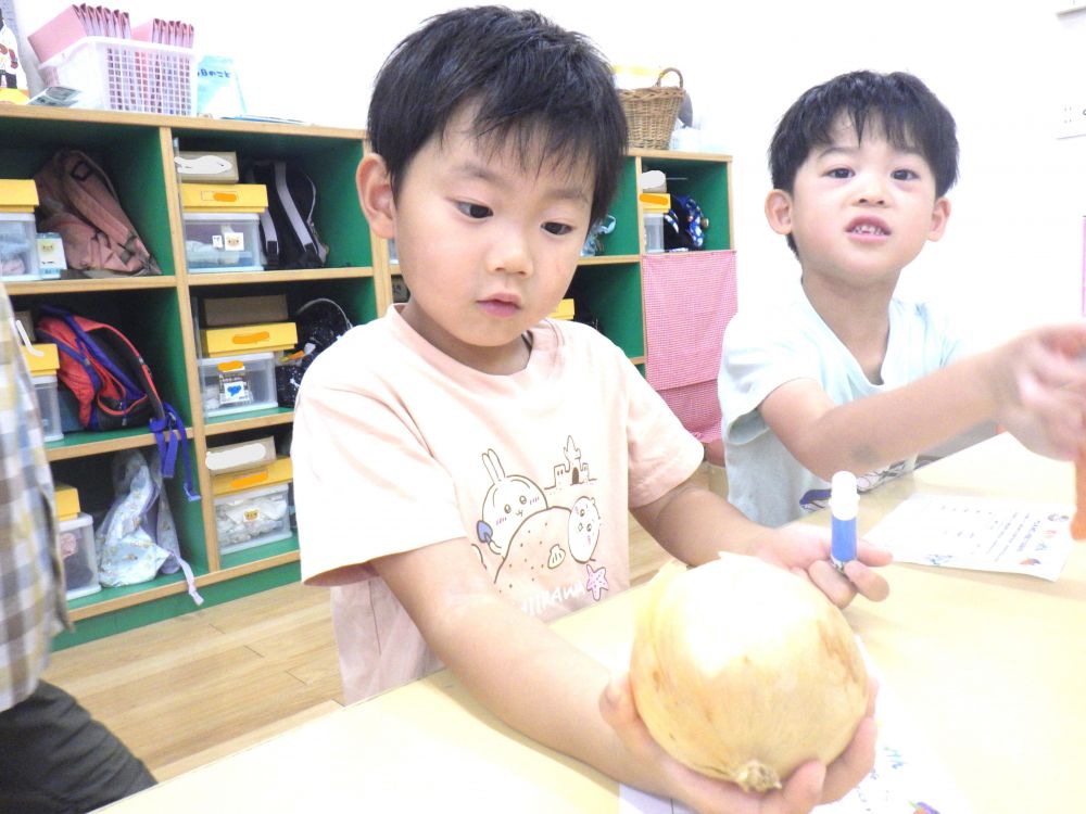 毎日おいしい給食を作ってくれる
給食先生と一緒に夏の野菜は浮かぶ？沈む？
実験を通して新しい発見がありました！



野菜が浮くのか沈むのか
実際に野菜を持ってみんなで予想することに♡
｢うーん、これは重たいな｣
｢こっちは軽い！｣
｢にんじんのこっち(葉っぱが付いている方)は重たいよ｣
同じ野菜でも人によって感じ方はそれぞれです♡