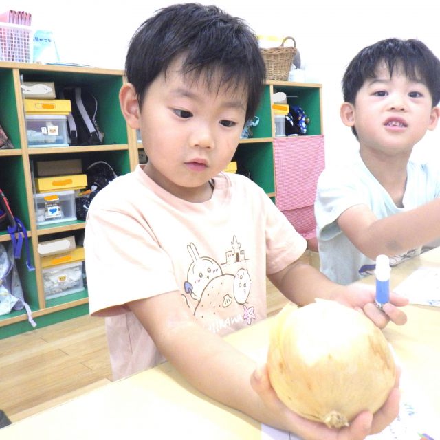 ＊　5歳児　野菜実験①　＊
