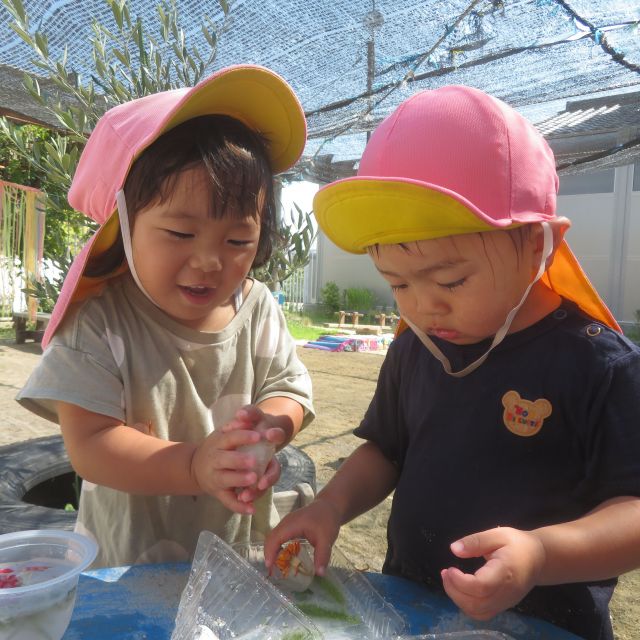 ＊　1歳児　草花氷遊び　＊