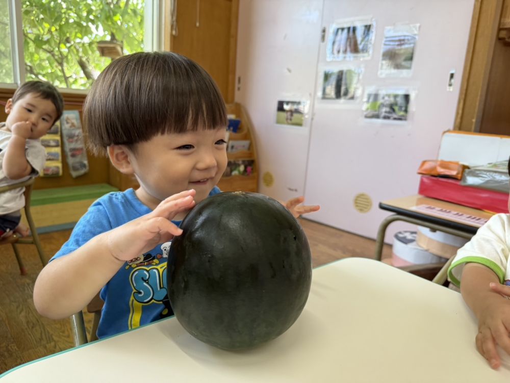食育の日に、スイカを触ってみました🍉


机の上に置くと、コロコロ転がる！！
それを見て、Gくんも両手を使って転がしてみます！
こっちに返ってくるのが楽しくてニッコリ☺️