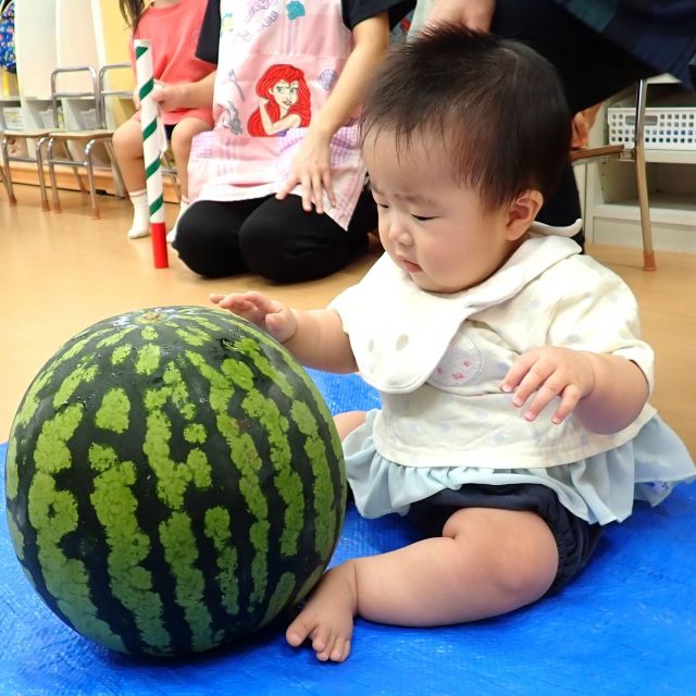 スイカ🍉