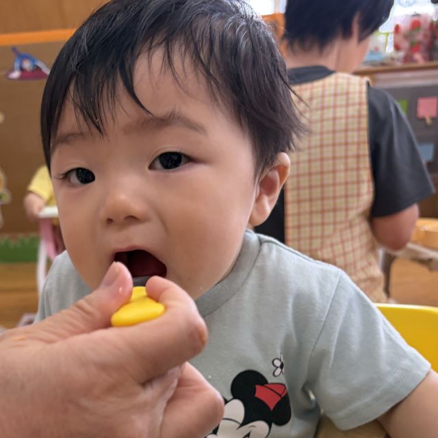 かき氷　～０歳児　ウサギ組～
