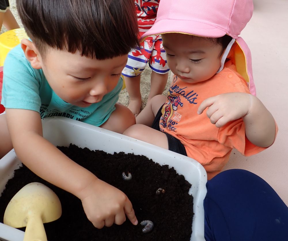 卵が孵って幼虫が生まれました🥚
来年も一緒に遊ぼうね😄