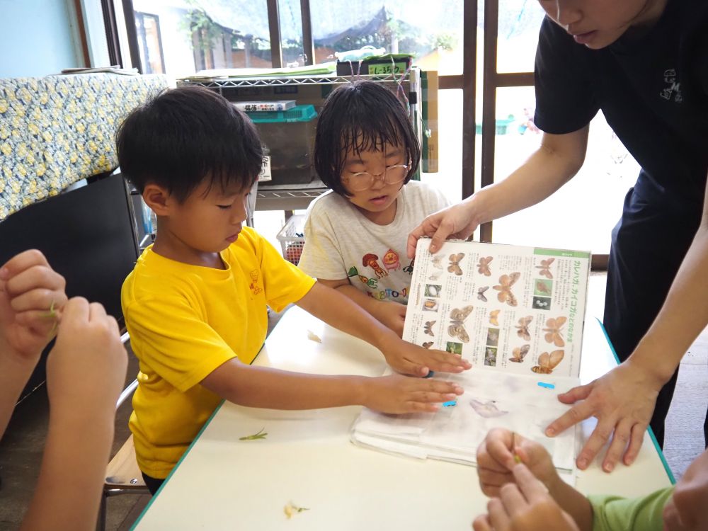 それぞれティッシュに挟んで
図鑑の中に…📚
２～３日後にまたみんなで見てみよう！！
と楽しみに何度もトントンとおさえるRくん

さあどんな押し花が出来るかな？♡♡