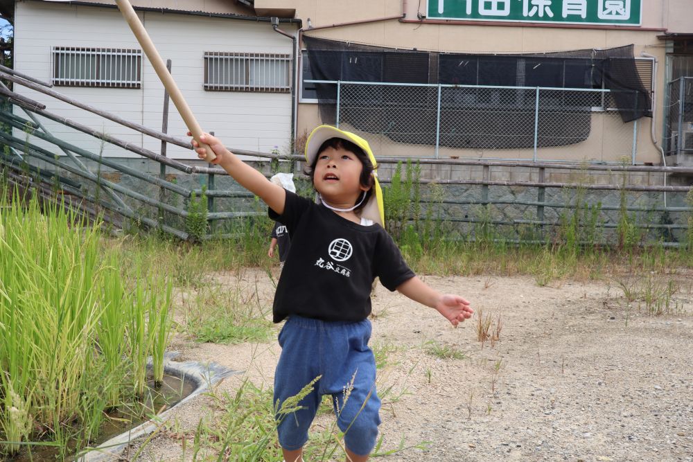 網を持った手を一生懸命伸ばして
捕まえたい・・・！！

「どうやったらつかまえられるん？」
「(虫が逃げるのが)はやいー！」

虫捕りに苦戦する子どもたち・・・
～そりゃ～虫も必死だよ（笑）～
どうやったら捕まえられるかな？

「またつかまえたい！！」
と、意気込んでいたので、
リベンジしようね💪