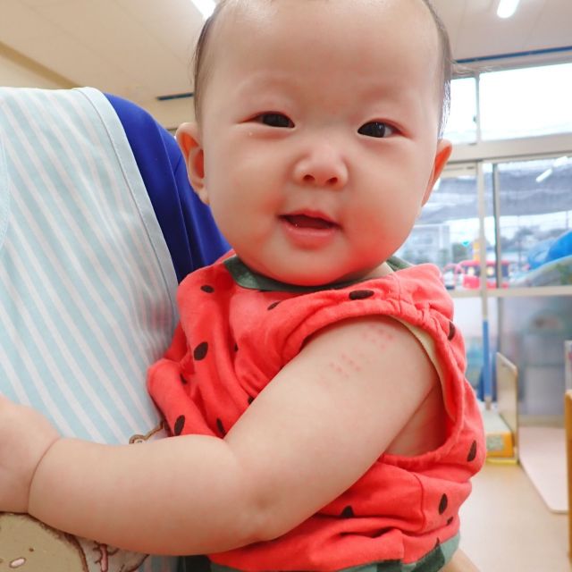 新しいお友だち