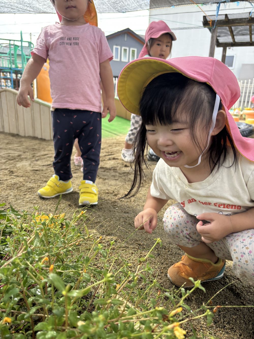 「みてー！」
花壇の草むらで発見したのは…
カマキリ！！！