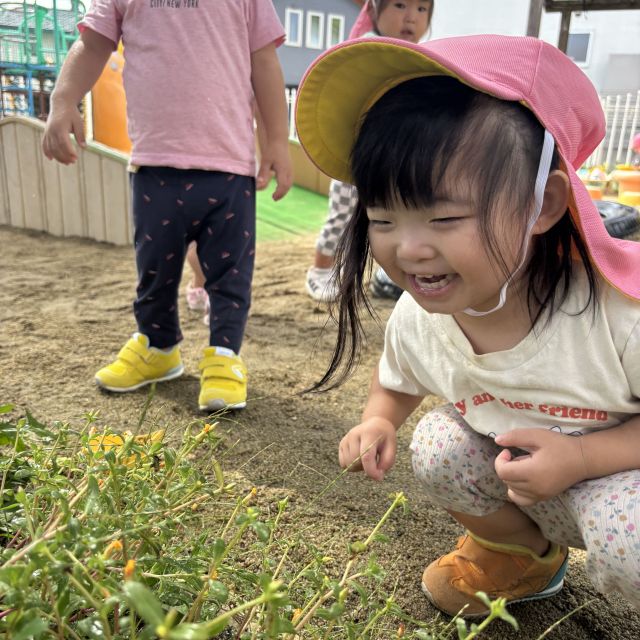 カマキリみつけたよ！ 　～1歳児　 ヒヨコ組～