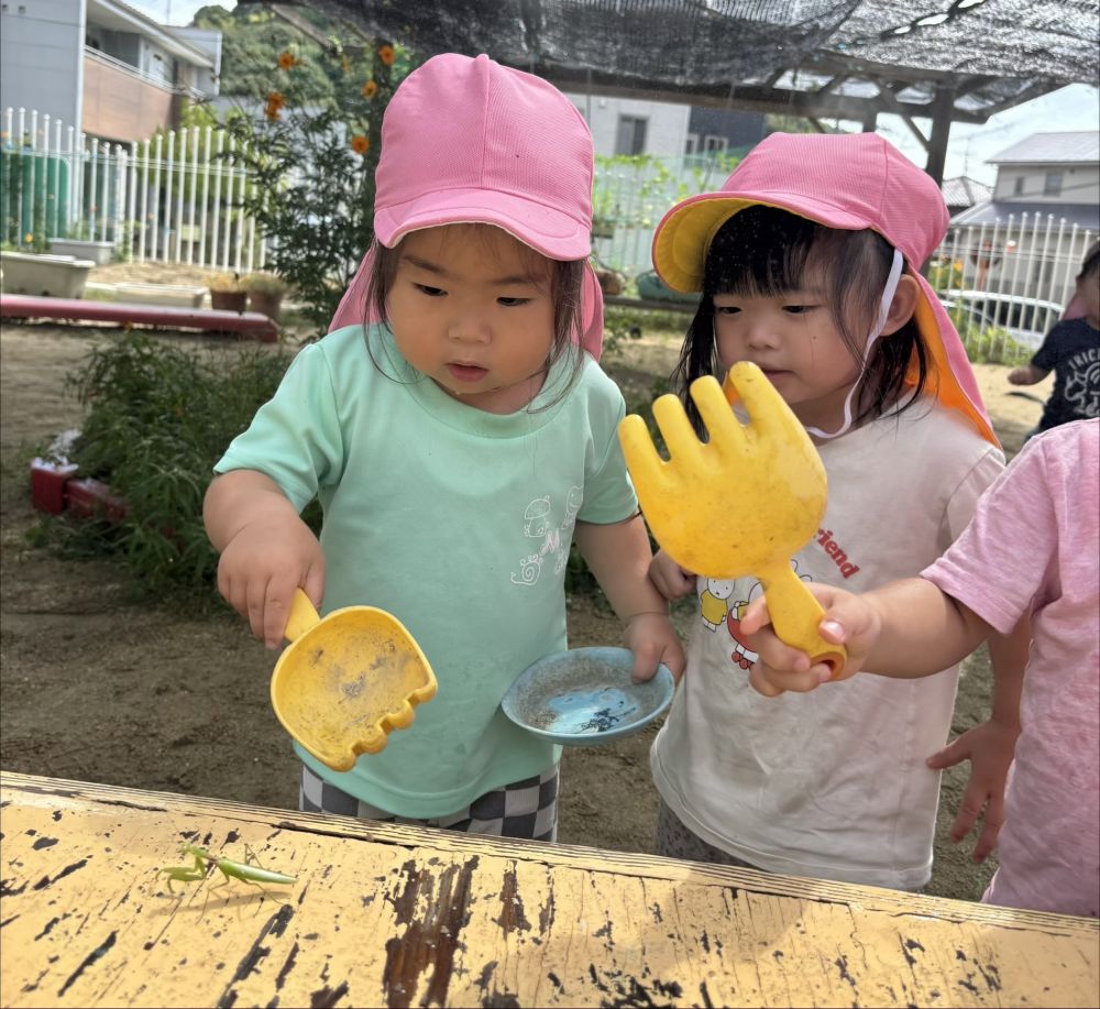 「キリ！」「おった！」「こわい！」
カマキリの威嚇ポーズに、ちょっぴり怖がるR君でしたが
気になって近くで観察🎶
素手は怖いけどスコップでそっと触るのに
チャレンジしていました！