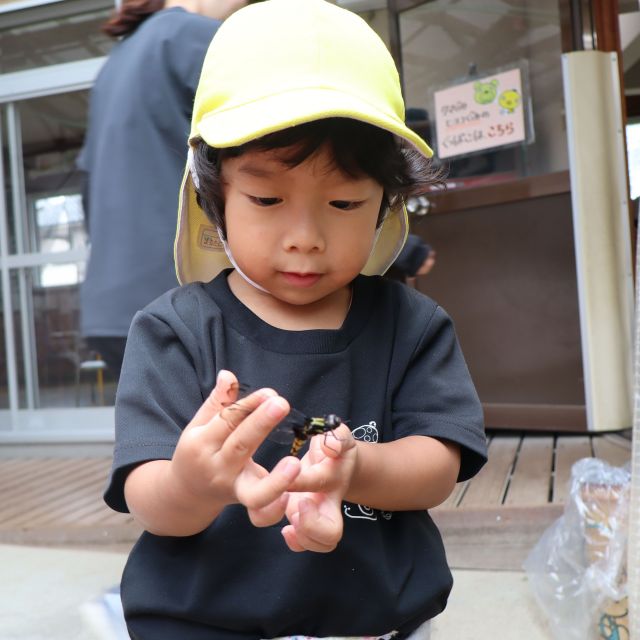 トンボ　＊１．２歳児＊