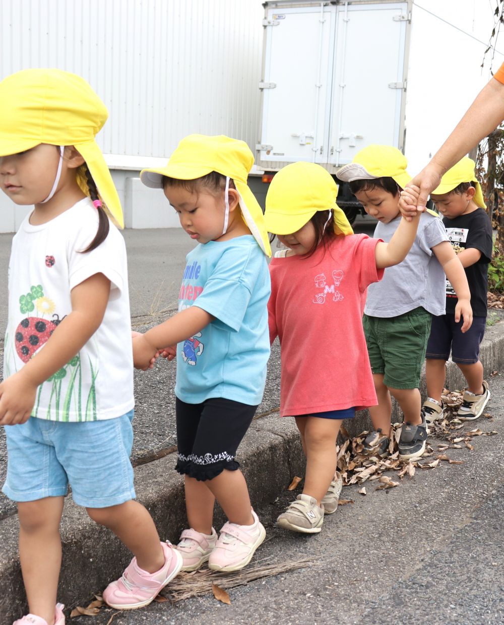 自然と１列で歩く子どもたち🐻
なぜって、カサカサ音がするから🍂