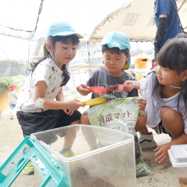季節の虫　＊５歳児＊　